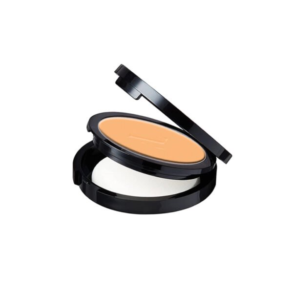 PRO FINISH Compact Powder - PF-04