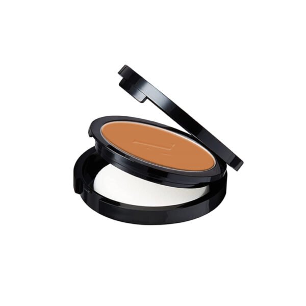 PRO FINISH Compact Powder - PF-10